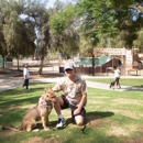 OC K-9 Services - Dog Training