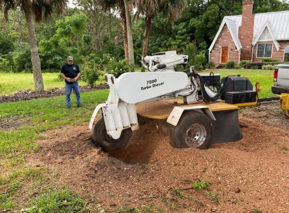 Diversified Tree Service - Leesburg, FL