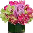 Le Florist, Corte Madera, Marin County