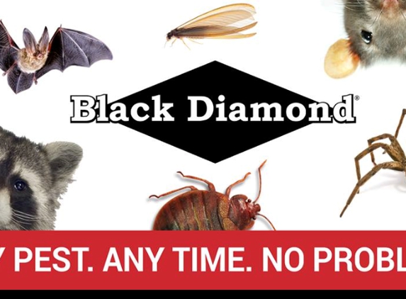 Black Diamond Pest Control of Indy - Indianapolis, IN