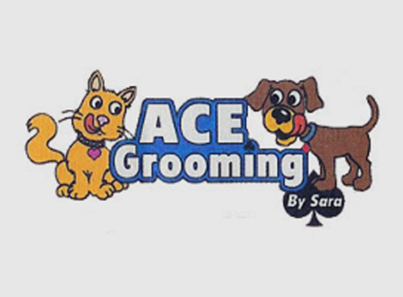 Ace Grooming By Sara - Centennial, CO