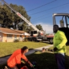 All Your Way Lawn, Tree, and Property Maintenance gallery