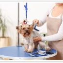 Southern Pet Market - Pet Specialty Services