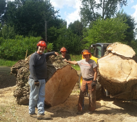 Harper Hill Tree Service - Mason, MI