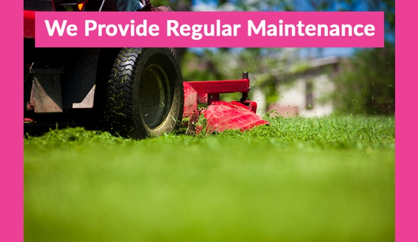 Northshore Gardening Maintenance Pty Ltd - Willoughby East, NSW. We Provide Regular Maintenance