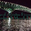 Duvals Pristine Pressure Washing & More L.L.C gallery