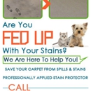 Jeffy Carpet Cleaning Cypress - Carpet & Rug Cleaners