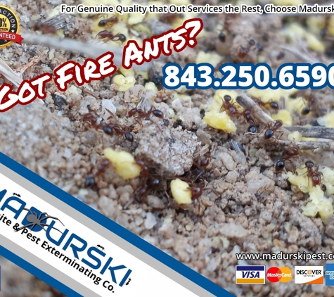 Madurski Termite & Pest Exterminating Co. LLC - Florence, SC