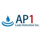 AP1 Leak Detection Inc