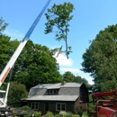 Anson Baldwin Tree Care LLC - Landscaping & Lawn Services