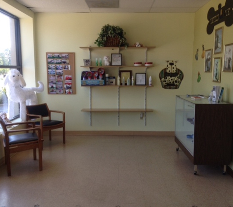 Pampered Paws Pet Grooming - Collierville, TN