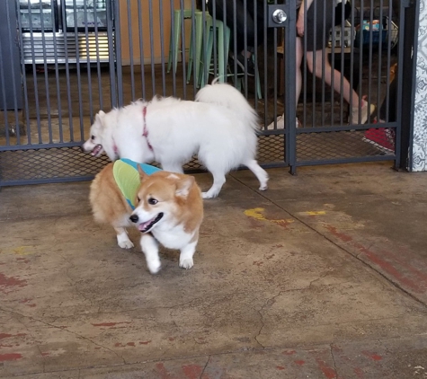 Chateau Le Woof - Astoria, NY