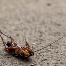 First Class Pest Control - Pest Control Equipment & Supplies