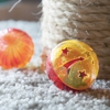 Guaranteed Affordable Carpet Upholstery gallery