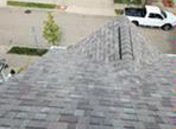 Dynamic Roofing Solutions