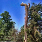 Sugar Creek Tree Care