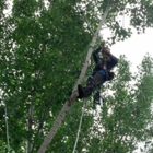 Missoula Valley Tree Service