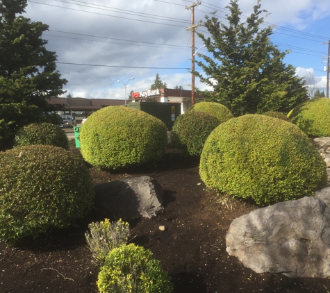 Robinson Landscape & Maintenance - Springfield, OR