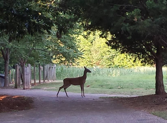 McDaniel Farm Park - Duluth, GA