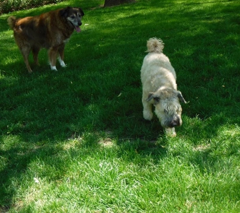 Barrington Kennels Pet Resort - Lake Barrington, IL