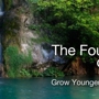 The Fountain of Youth Spa