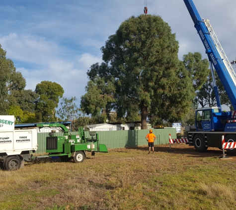 D & K Tree Surgery - Lake Albert, NSW