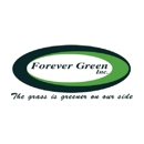 Forever Green Inc - Tree Service