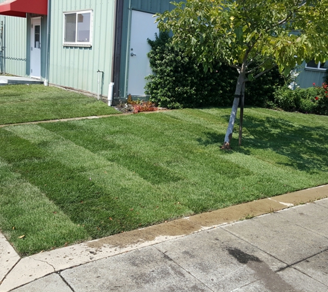 A&L Landscapes - Richmond, CA