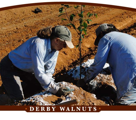 Derby Orchards - Rio Oso, CA