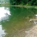 Rainbow Lakes - Fishing Lakes & Ponds