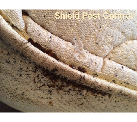 Shield Pest Control - Centereach, NY