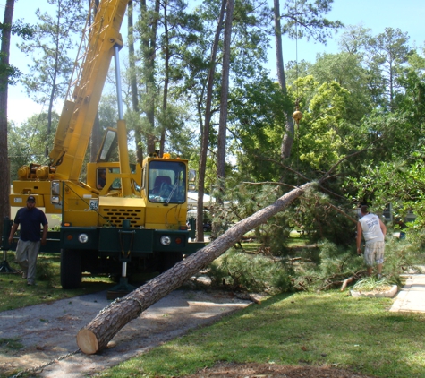 Usa Tree Svc - Inverness, FL