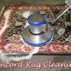 Concord Rug Cleaning