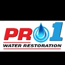 Pro 1 Water Restoration - Water Damage Restoration