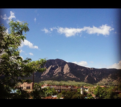 Mad Greens - Boulder, CO