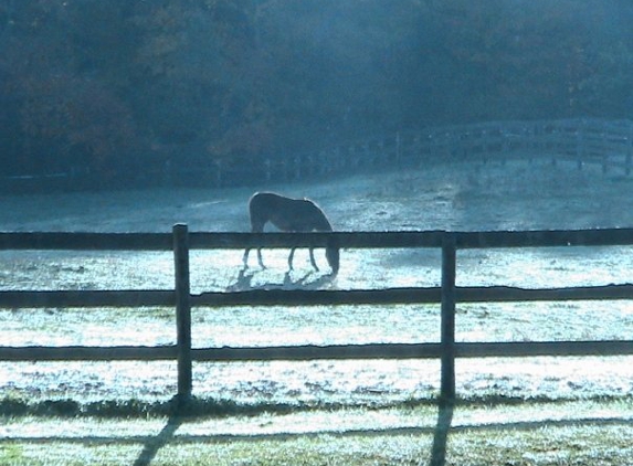 Hasty Hills Farm - Java Center, NY