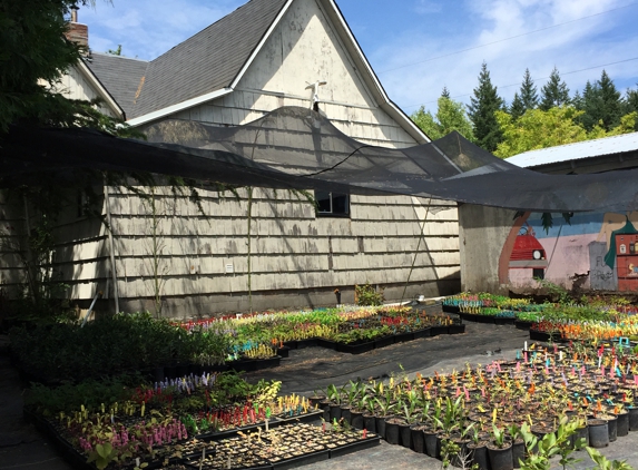 Harvest Nursery - Molalla, OR