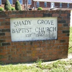 Shady Grove