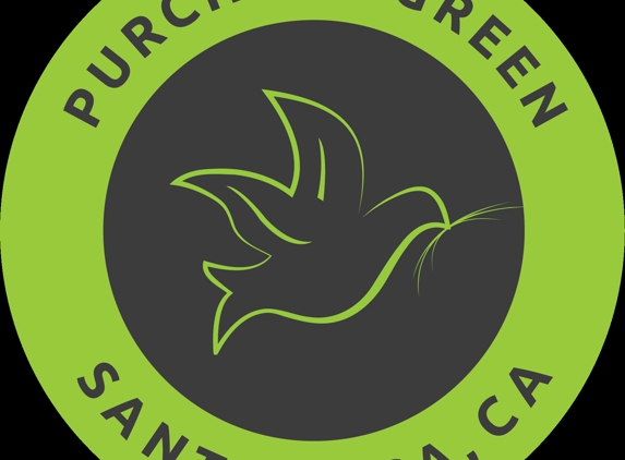 Purchase Green Artificial Grass - Santa Rosa, CA