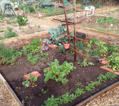 Zaferia Junction Community Garden - Long Beach, CA