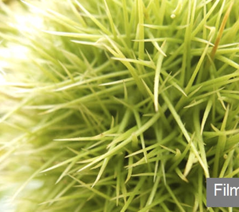 Fujifilm Australia Pty Ltd - Herdsman, WA