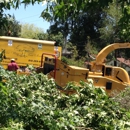 Your way Tree service - Tree Service