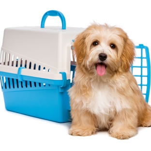 Allied Moving Services - Wodonga, VIC. Pet Transport