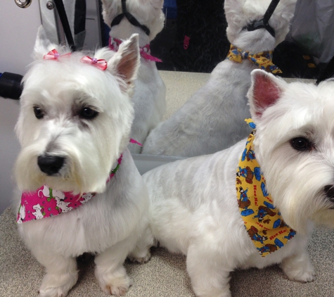 Miami's Pet Grooming - Miami, FL