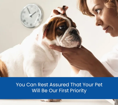 Fairfield West Veterinary Surgeons - Fairfield West, NSW. You Can Rest Assured That Your Pet Will Be Our First Priority