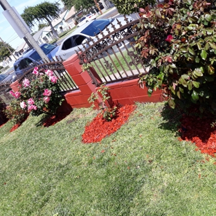 Jessy landscaping - Wilmington, CA