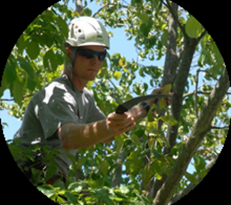 Apple Tree Service Inc. - Glenside, PA