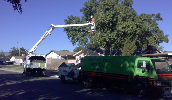 Chads Chippers Tree Service - Lancaster, CA