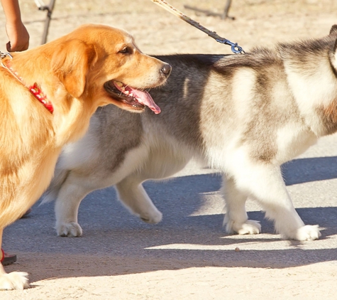 Dogs Love To Walk - Foster City, CA