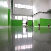 Gallery Image Number 5